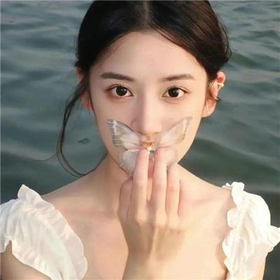 地平线系列：南极冰上科考站