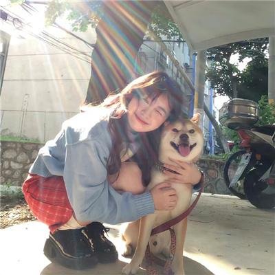 手里剑战队忍忍者 THE MOVIE 恐龙殿下的惊天忍法帖！